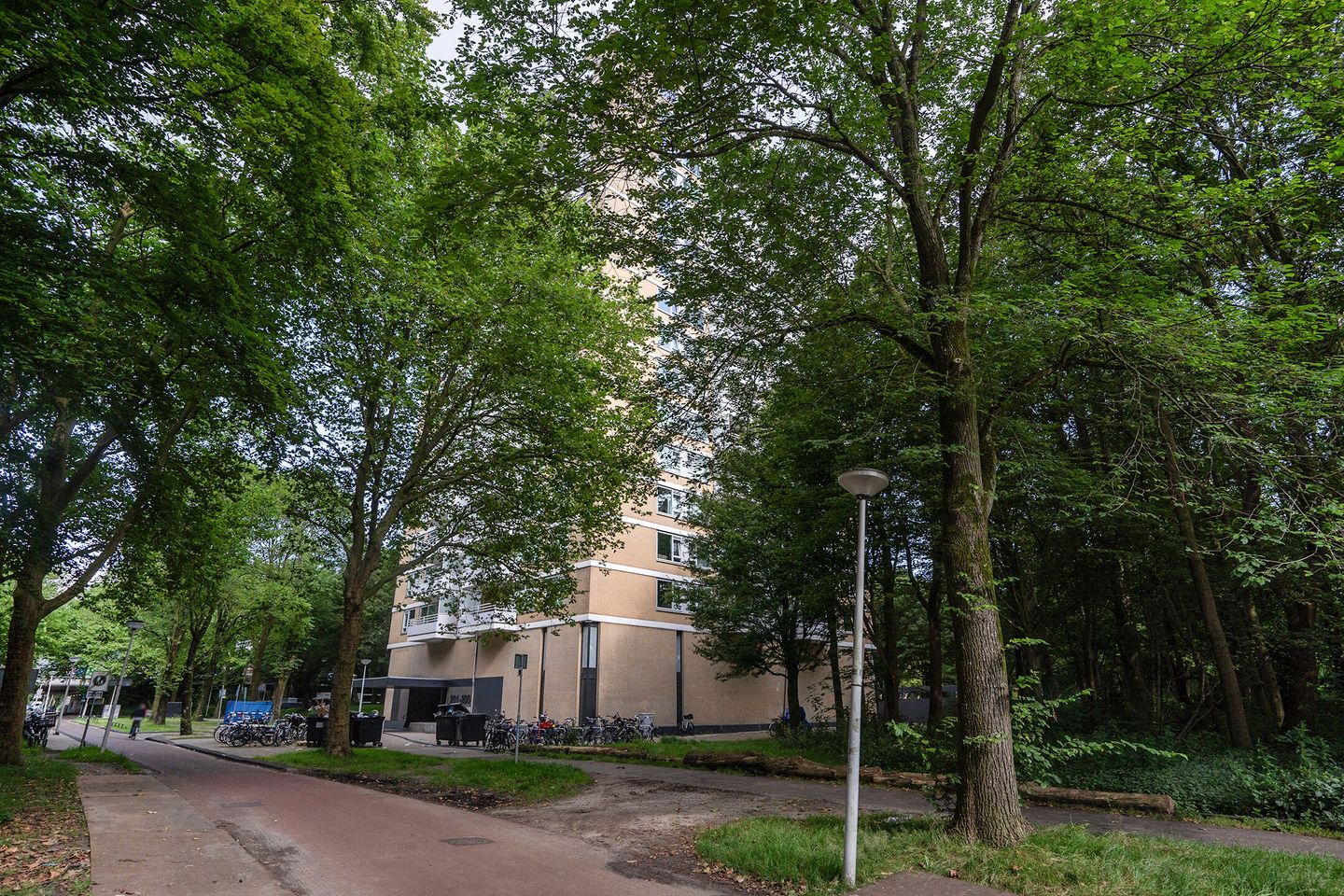 Photo 14 of Staalmeesterslaan 272