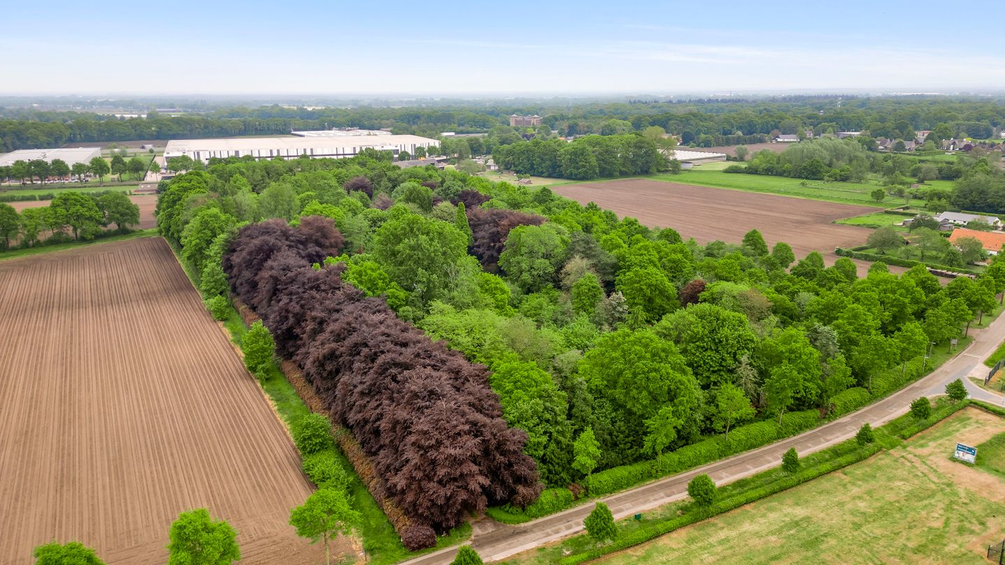 Foto 5 van Veld-Oostenrijk 12