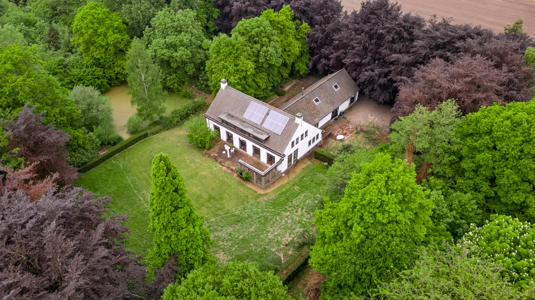 Foto 11 van Veld-Oostenrijk 12
