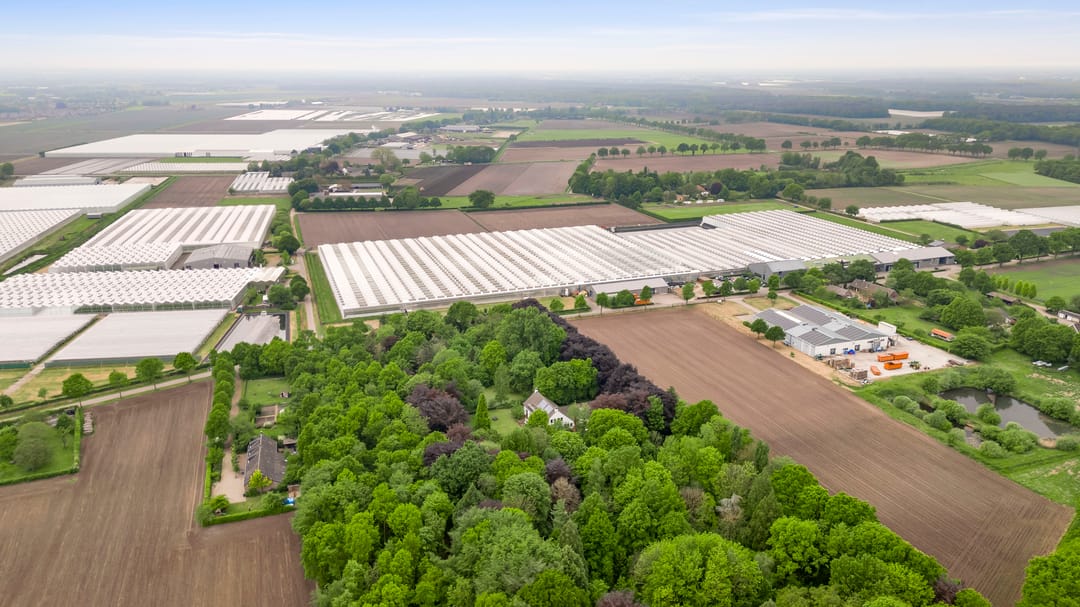 Foto 16 van Veld-Oostenrijk 12
