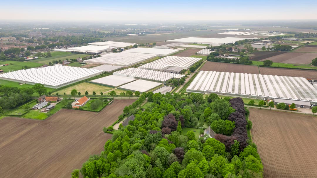 Foto 17 van Veld-Oostenrijk 12