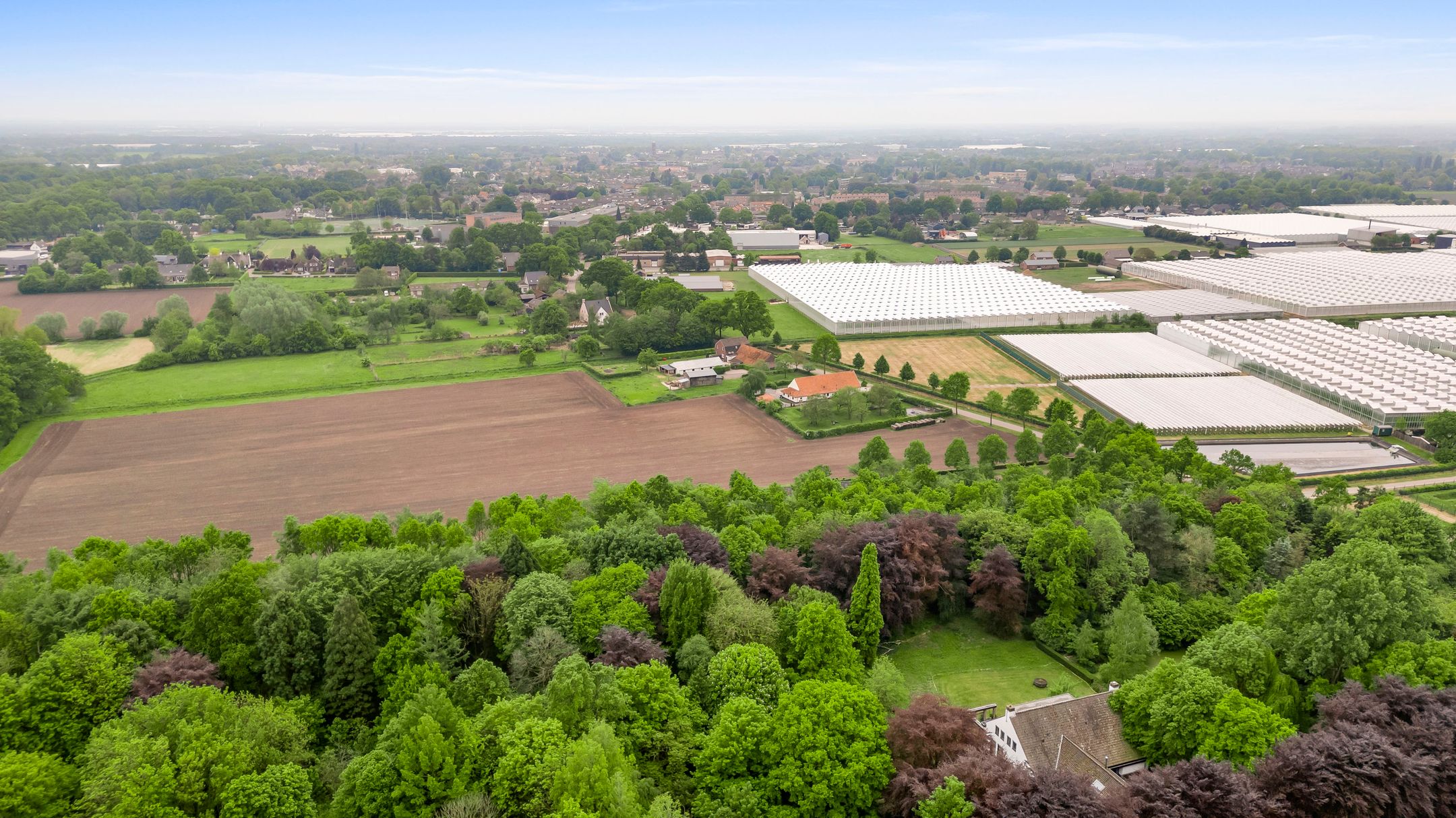 Foto 18 van Veld-Oostenrijk 12