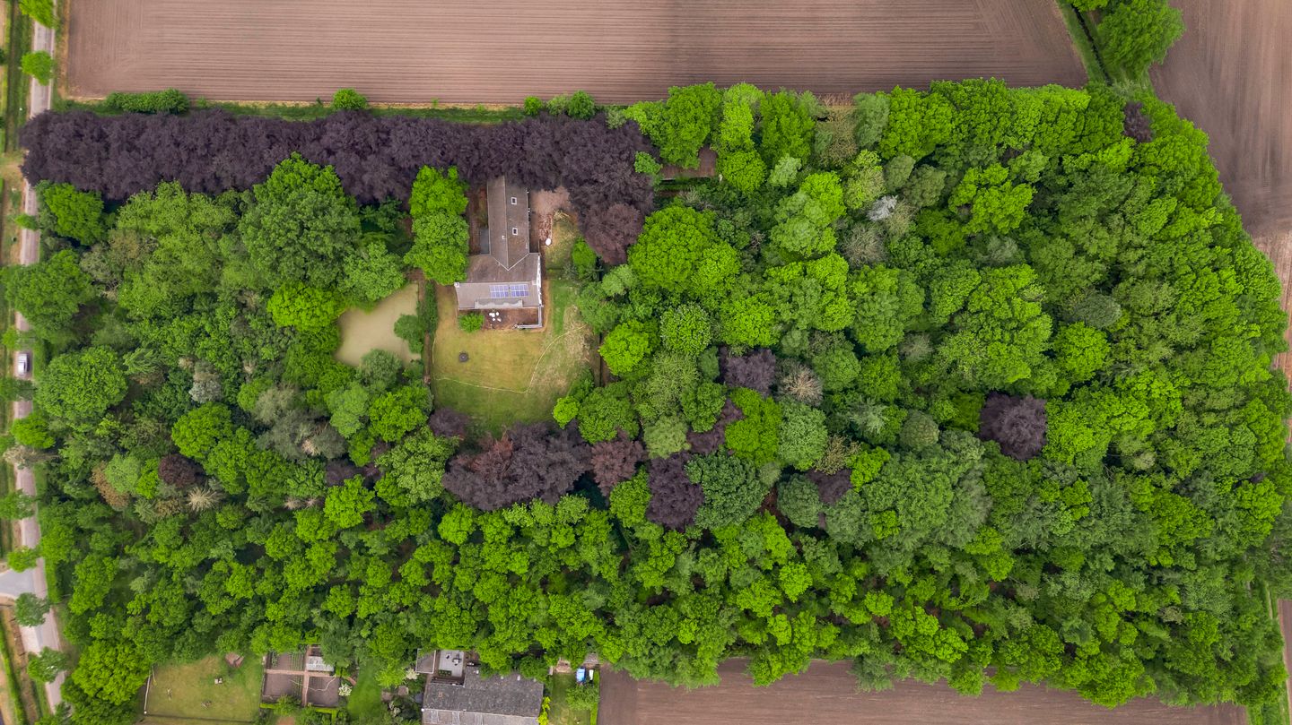 Foto 4 van Veld-Oostenrijk 12