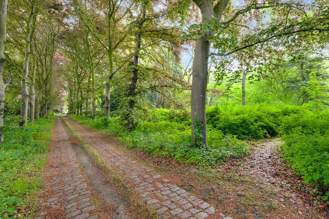 Foto 22 van Veld-Oostenrijk 12
