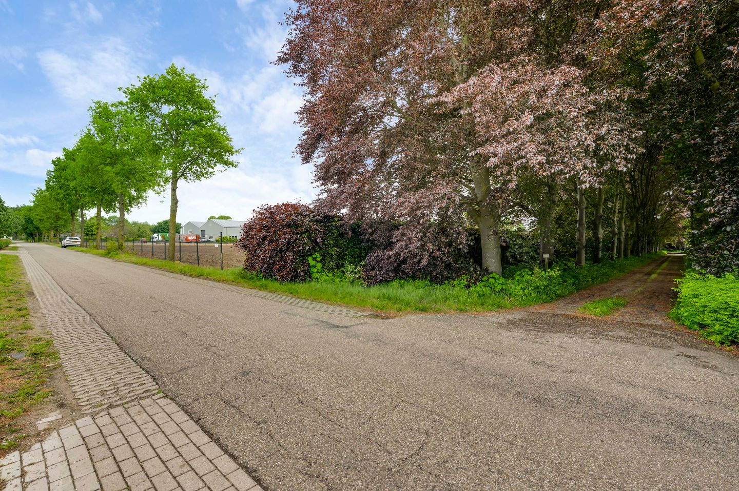 Foto 19 van Veld-Oostenrijk 12