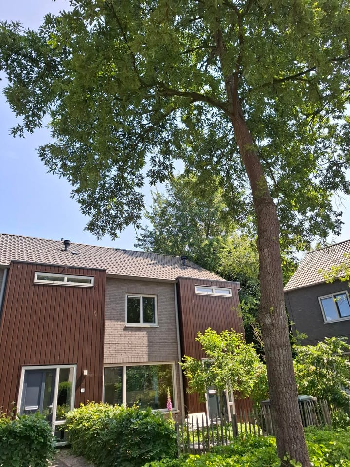 Foto 3 van Gouw 18