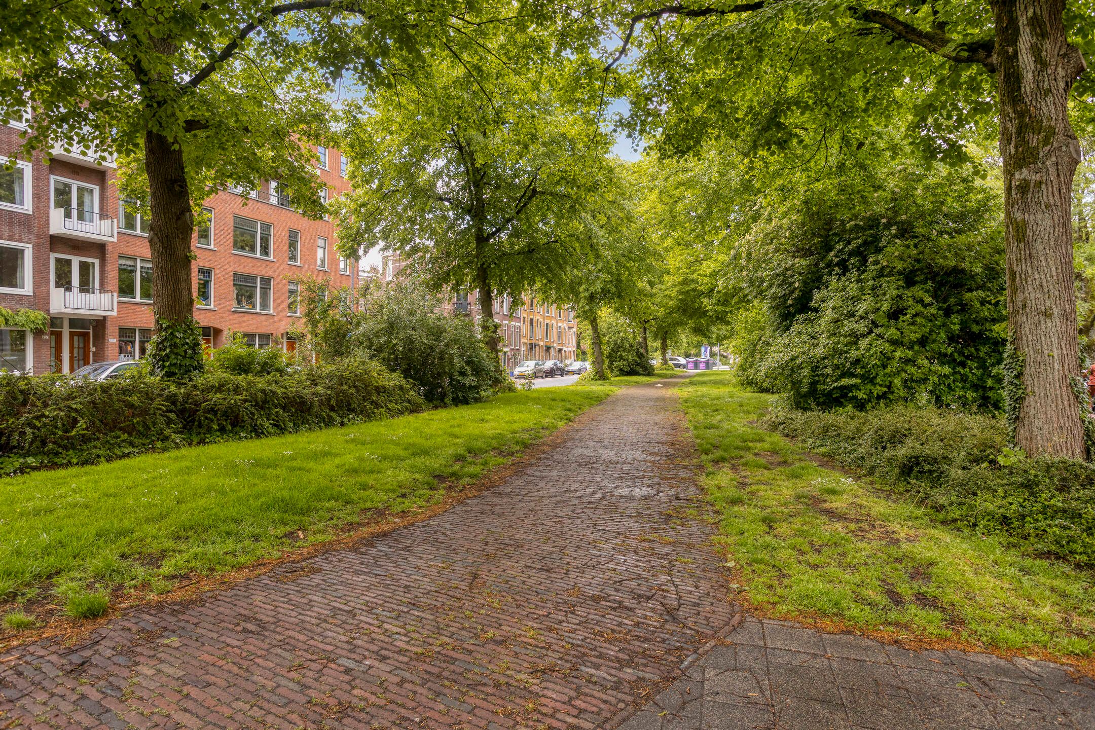 Foto 18 van Lisstraat 24-B01