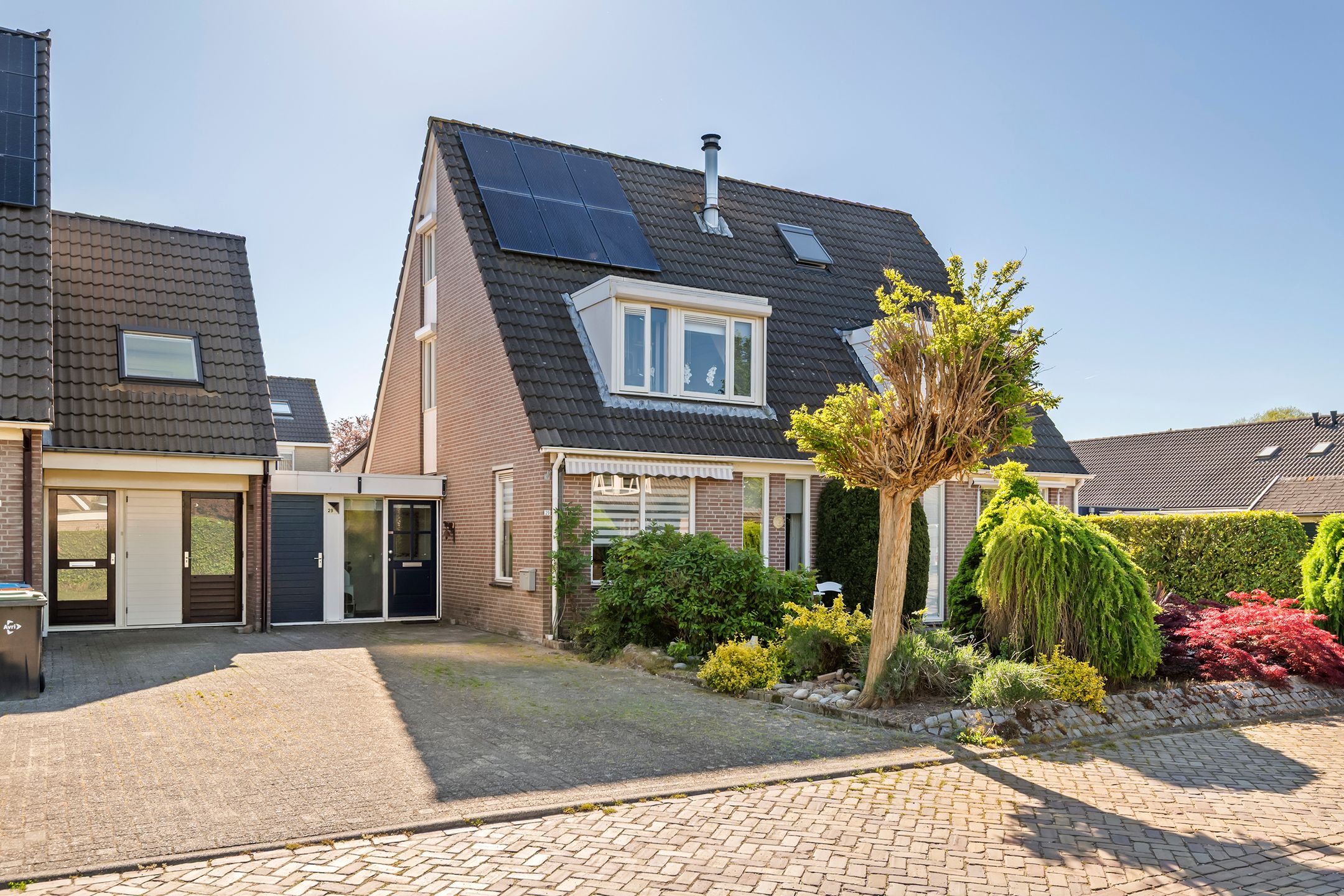 Goudrenet 29