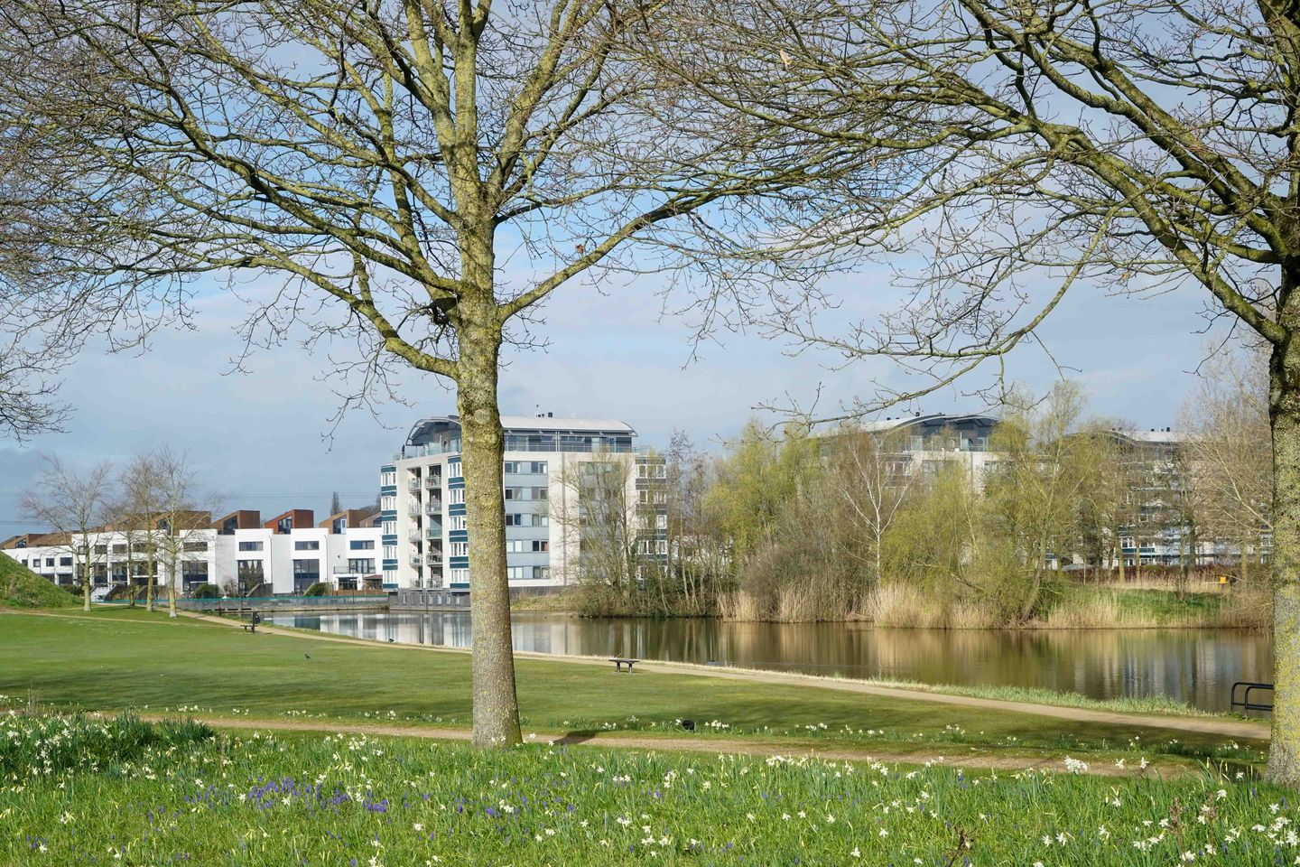 Foto 40 van Juttepeergaarde 9