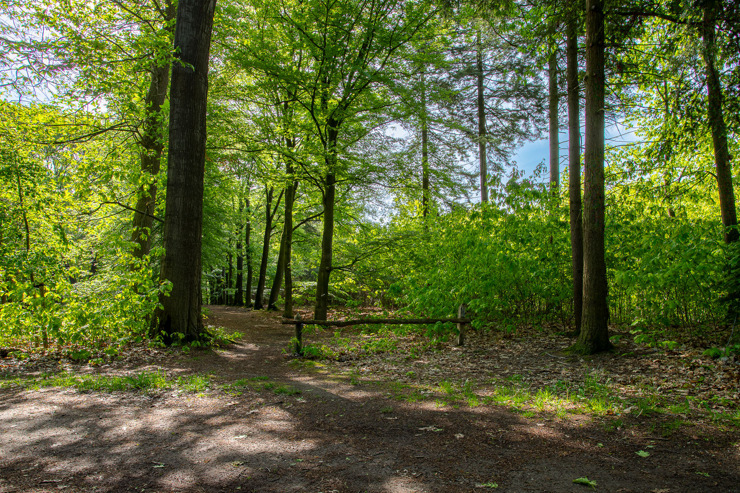 Photo 40 of Oostrumseweg 15