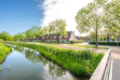 Meerkoetweide thumbnail