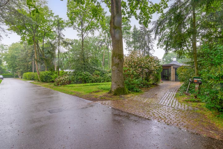Foto 4 van Dennenveld 5