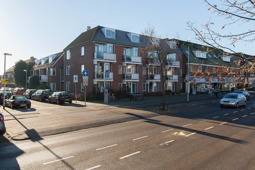Photo 11 of Nieuw Bellevue 8