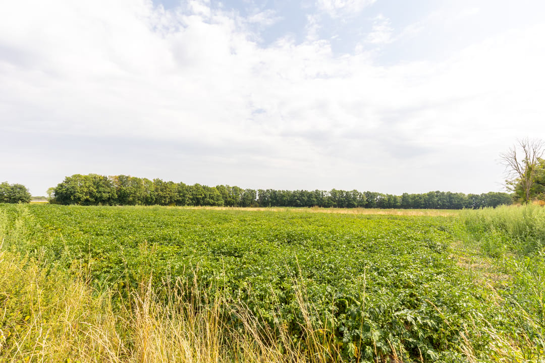 Photo 22 of Hondsbroek 74