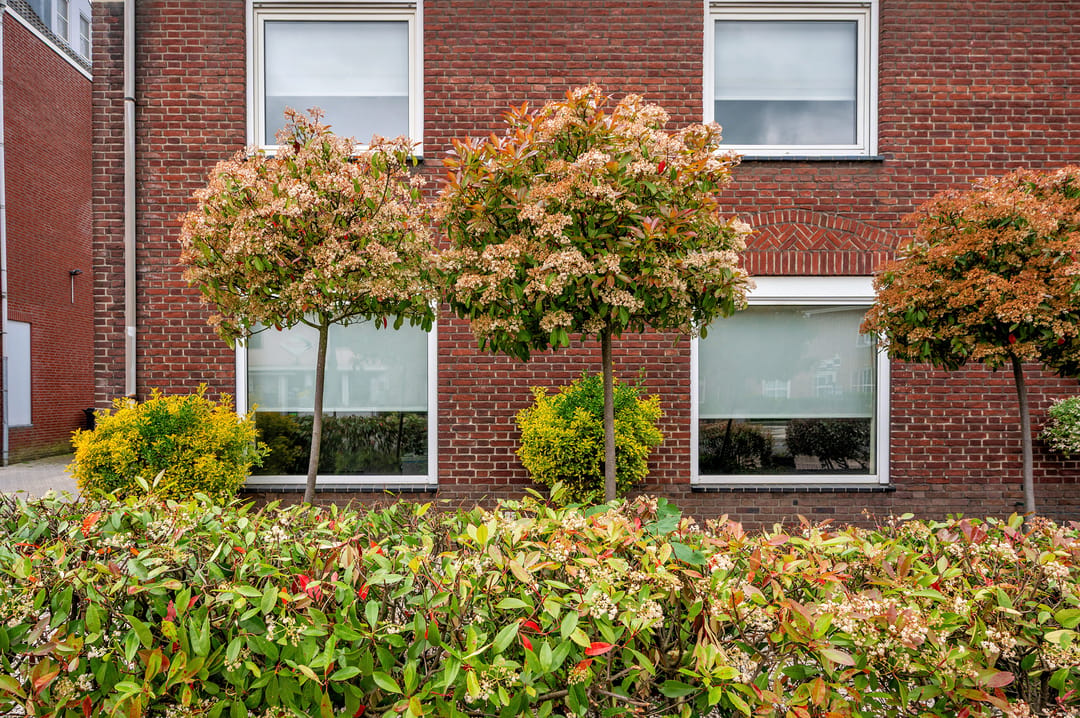 Foto 46 van Rijksweg 94