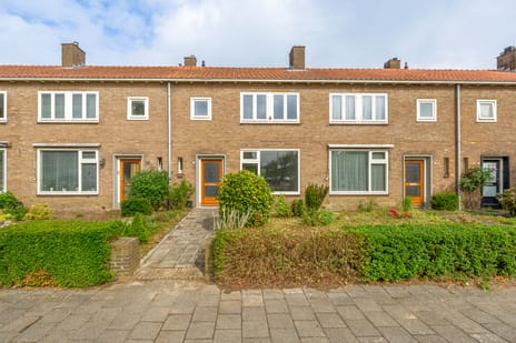 Treubstraat thumbnail
