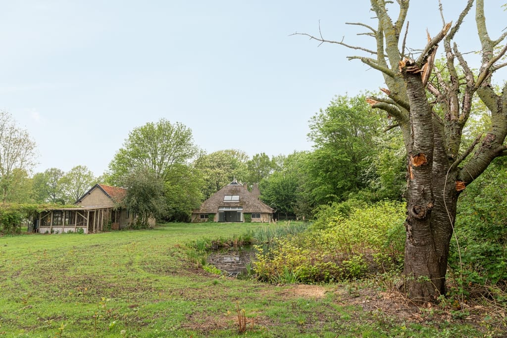 Foto 4 van Streek 11