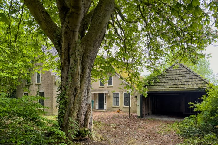 Photo 3 of Streek 11