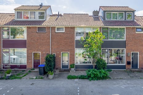 Pinksterbloemstraat thumbnail