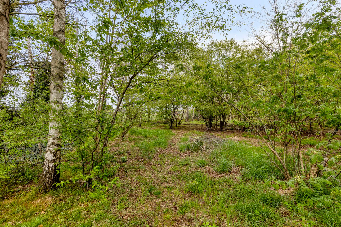 Foto 35 van Hoogeind 31