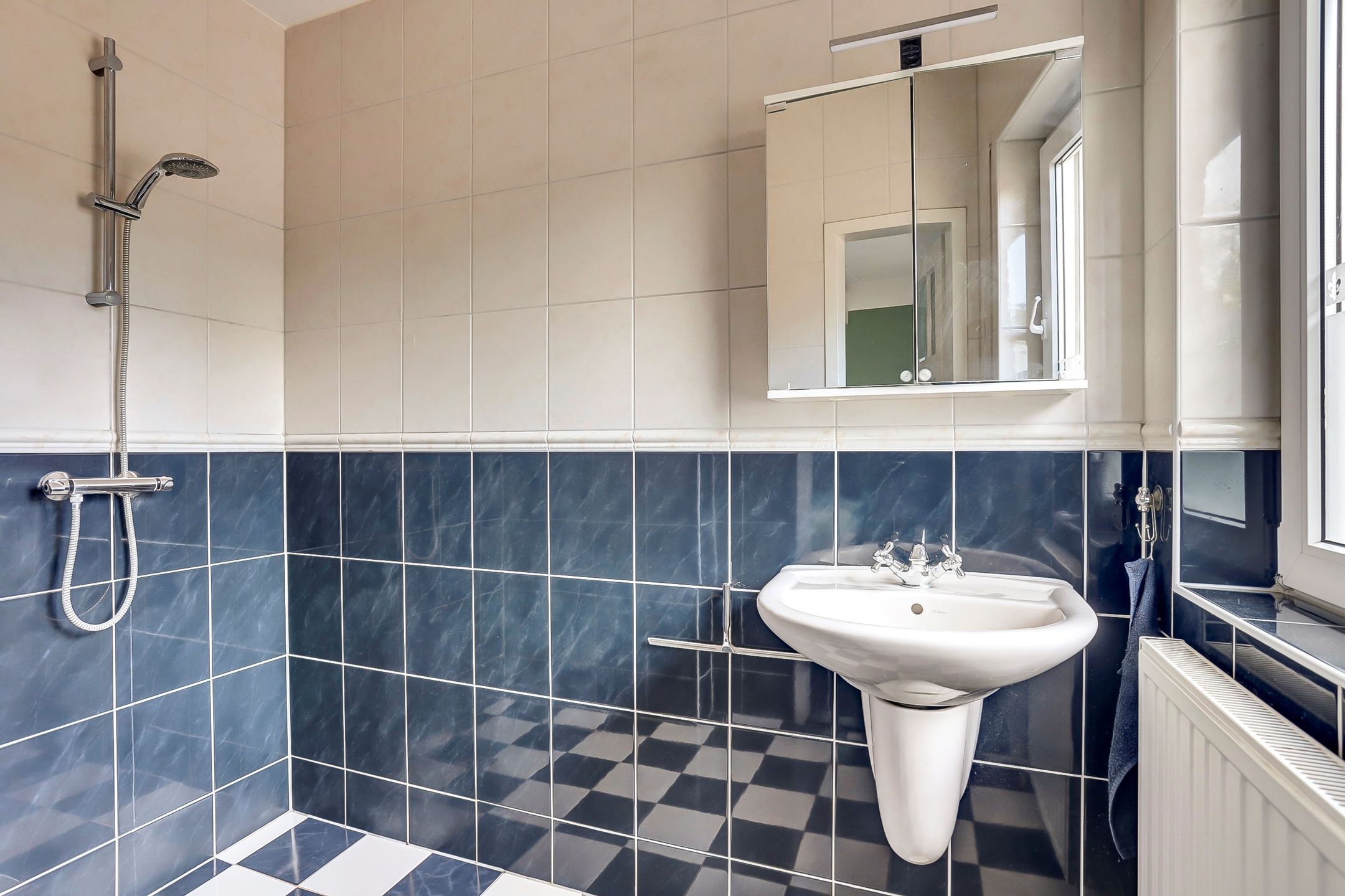 Foto 12 van Westelijke Doorsnee NZ 110
