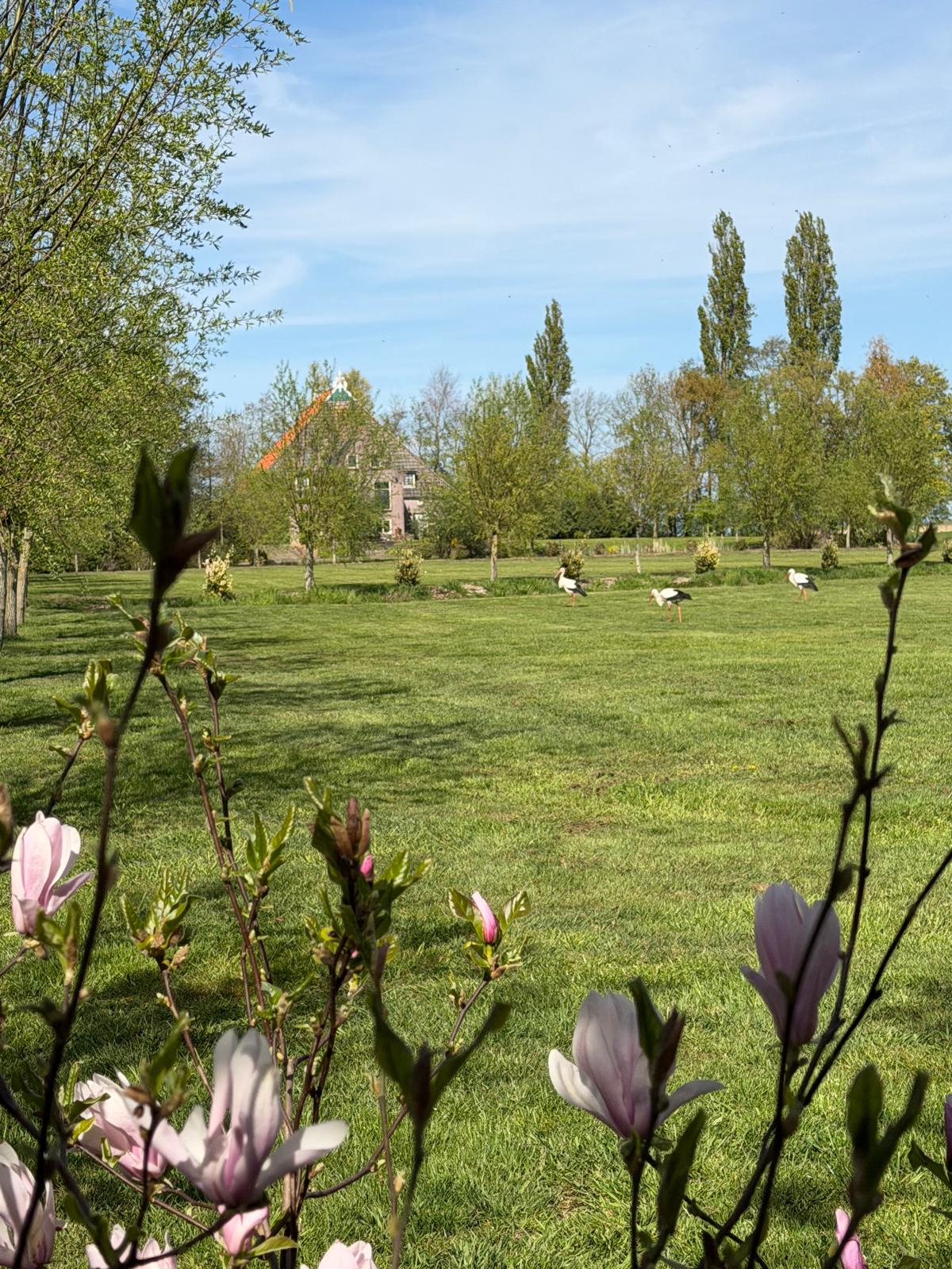 Foto 100 van Grietenijdijk 9