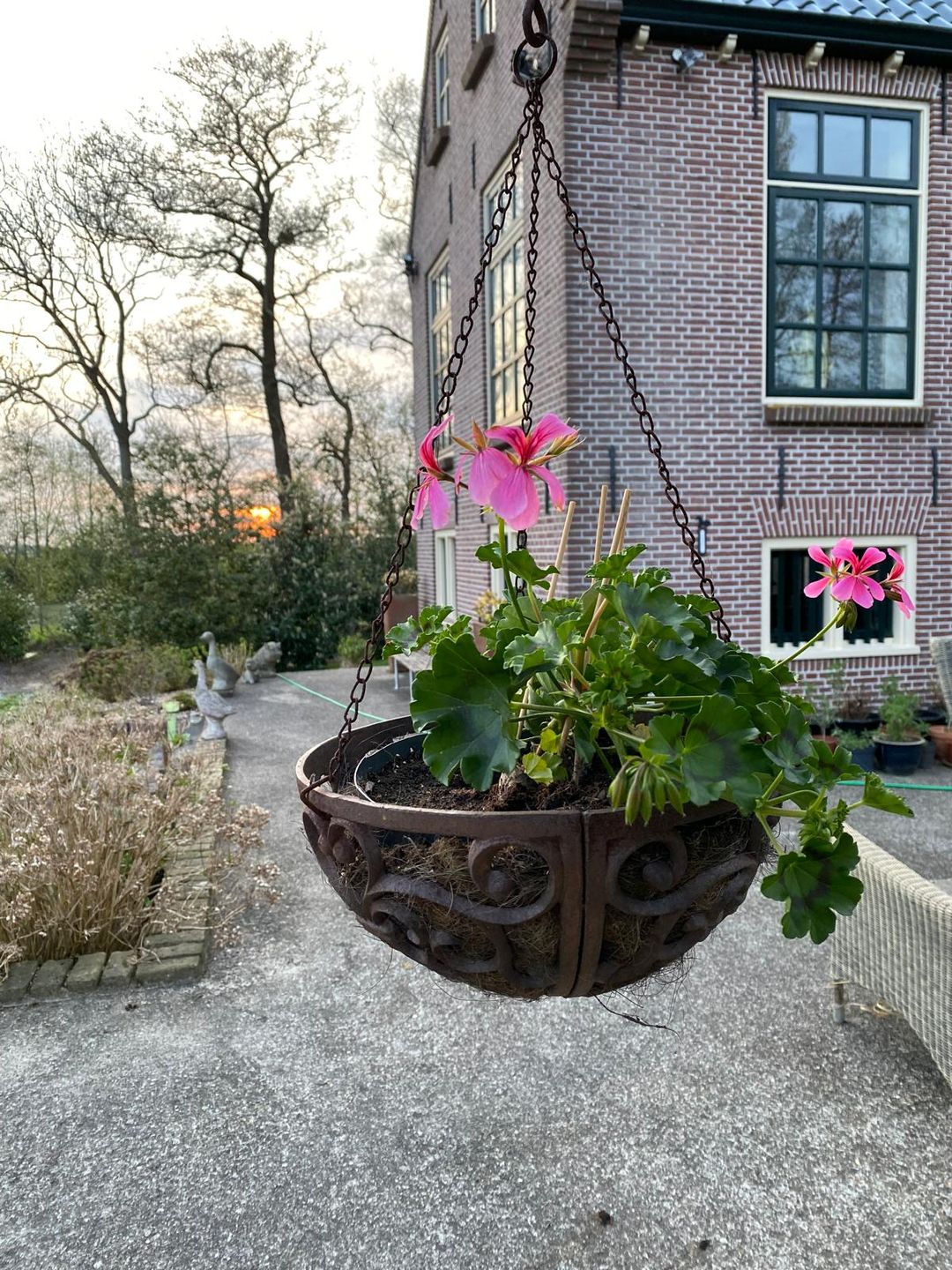 Foto 106 van Grietenijdijk 9