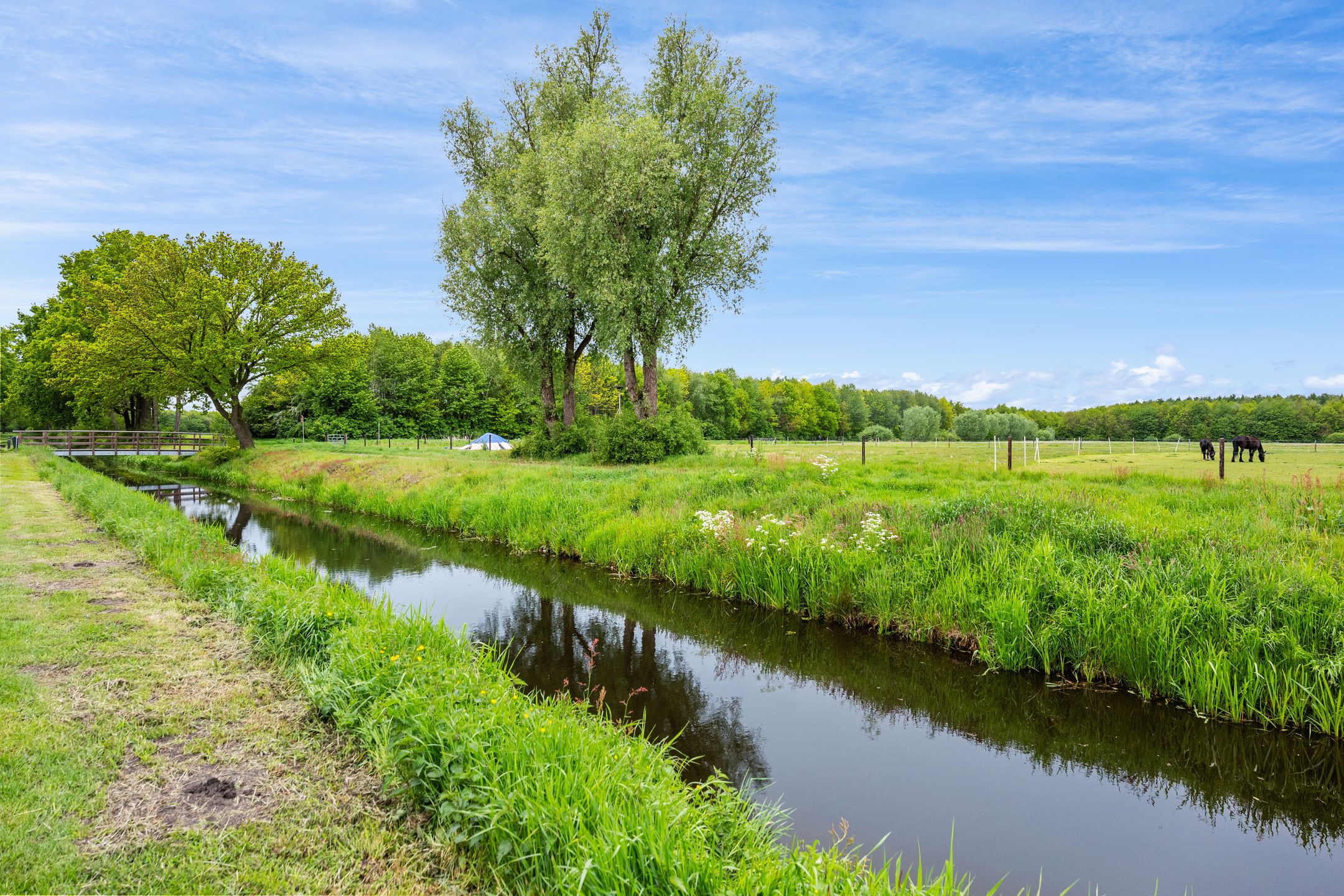 Photo 33 of Kruisspoel 36