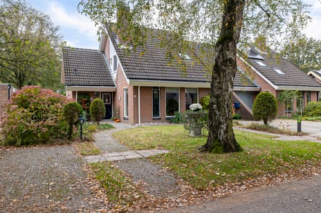 Boerhoorn thumbnail
