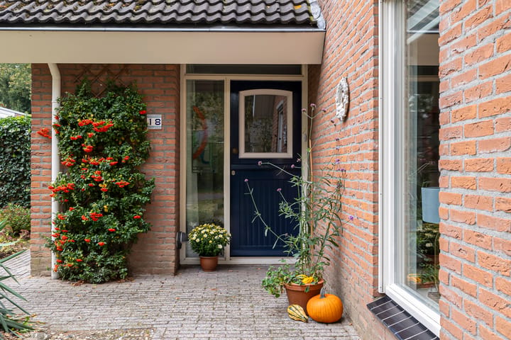 Foto 4 van Boerhoorn 18
