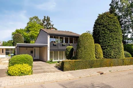 Aalscholversingel thumbnail