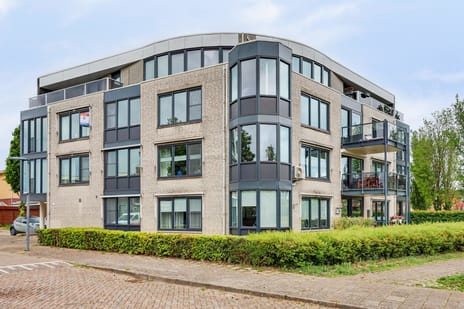 Lavendelveld thumbnail