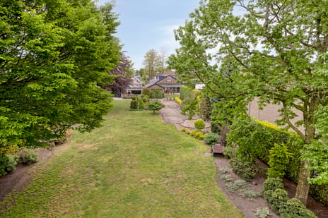 Irisstraat thumbnail