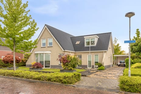 Boterbloem thumbnail