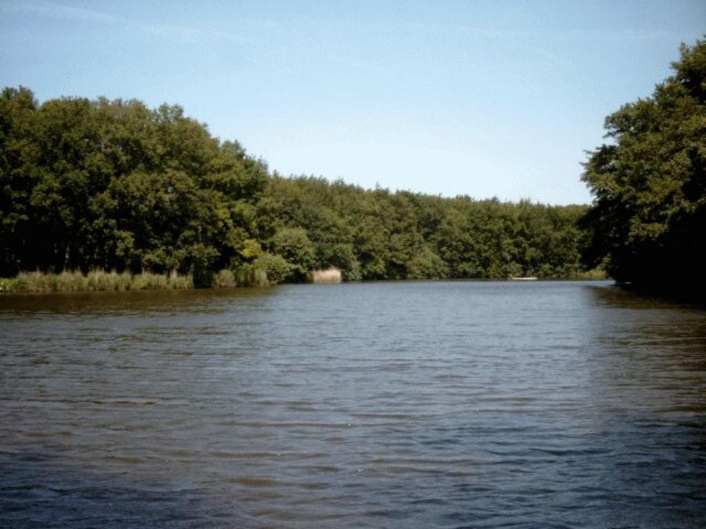 Foto 15 van Bezuidenhoutseweg 339-A
