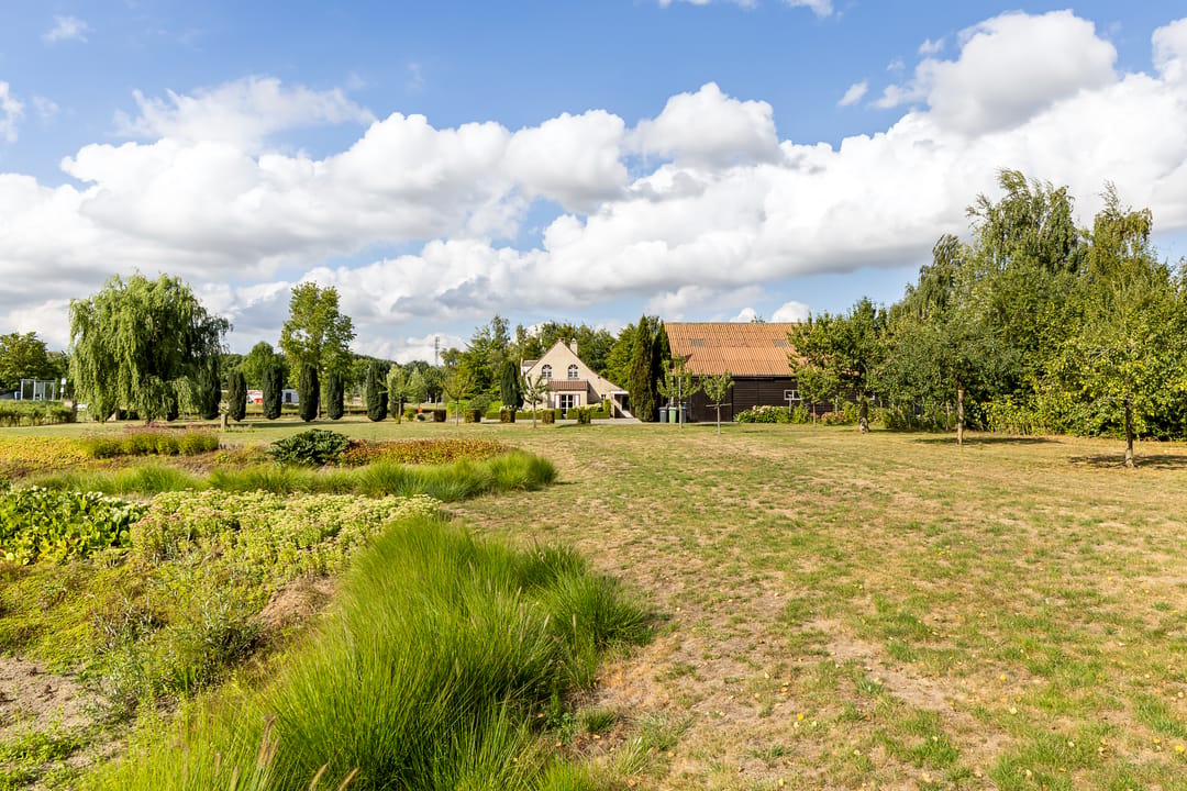 Photo 41 of Riet- en Wulfsdijkweg 26