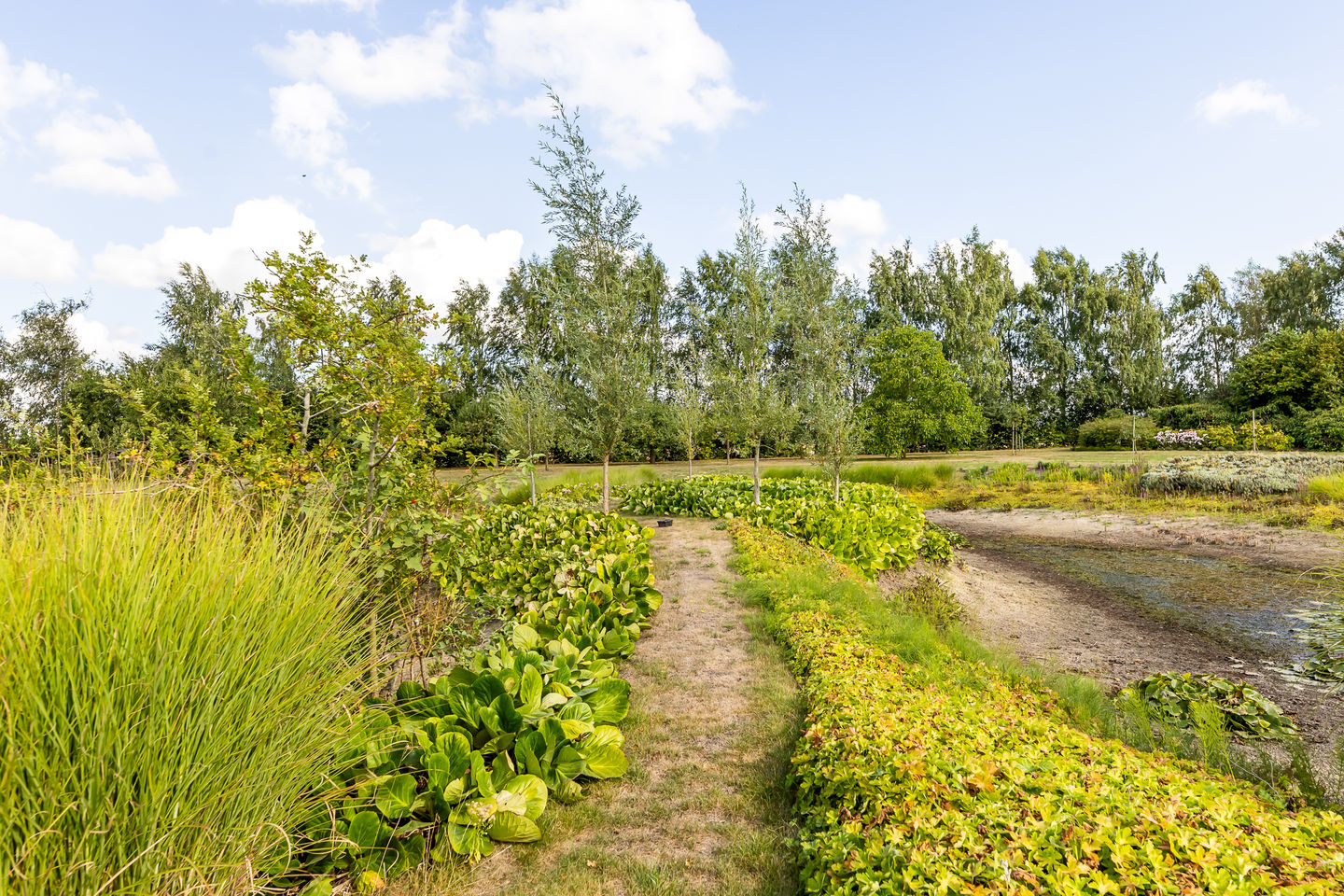 Photo 44 of Riet- en Wulfsdijkweg 26