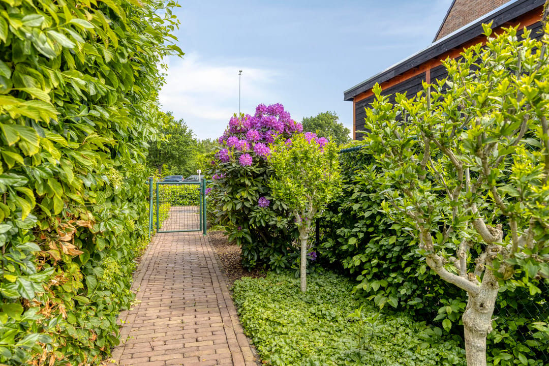 Spacious Ground-Floor Family Home with Solar Panels in Lommel-Centrum — 28