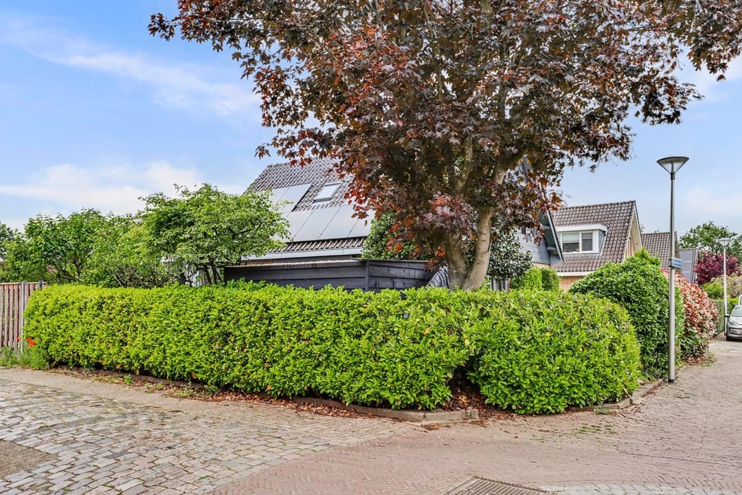 Foto 46 van Buizerdstraat 9
