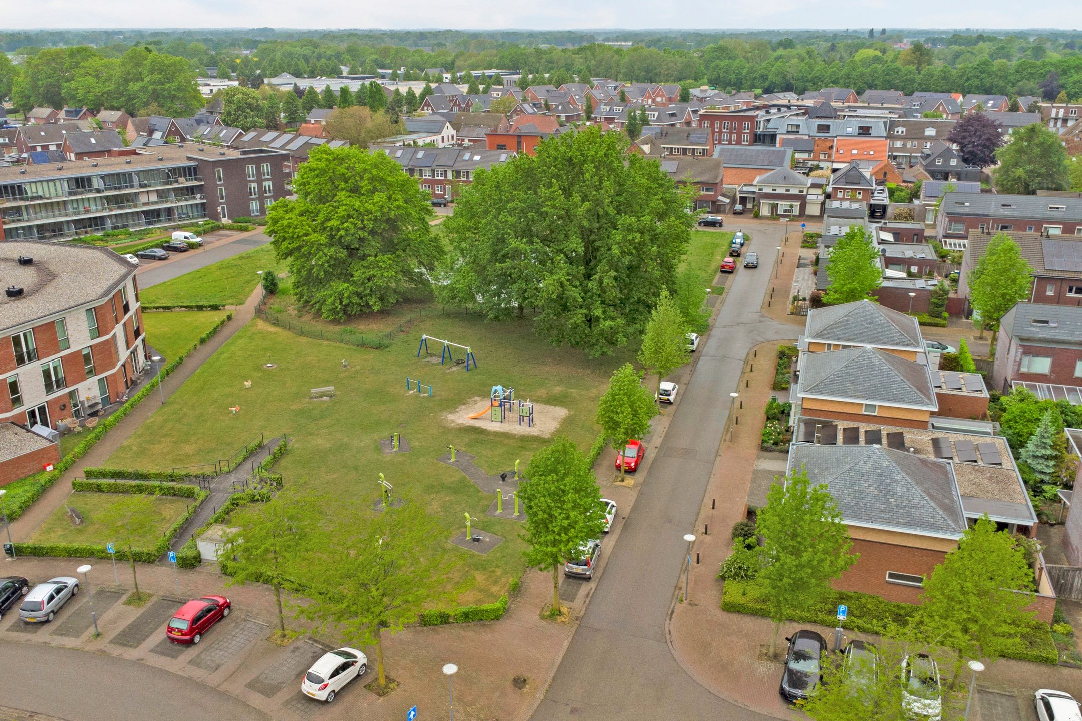 Photo 51 of Roodborstje 1