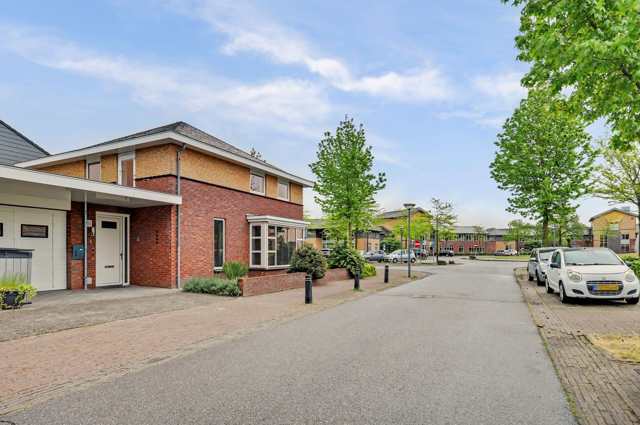 Photo 45 of Roodborstje 1
