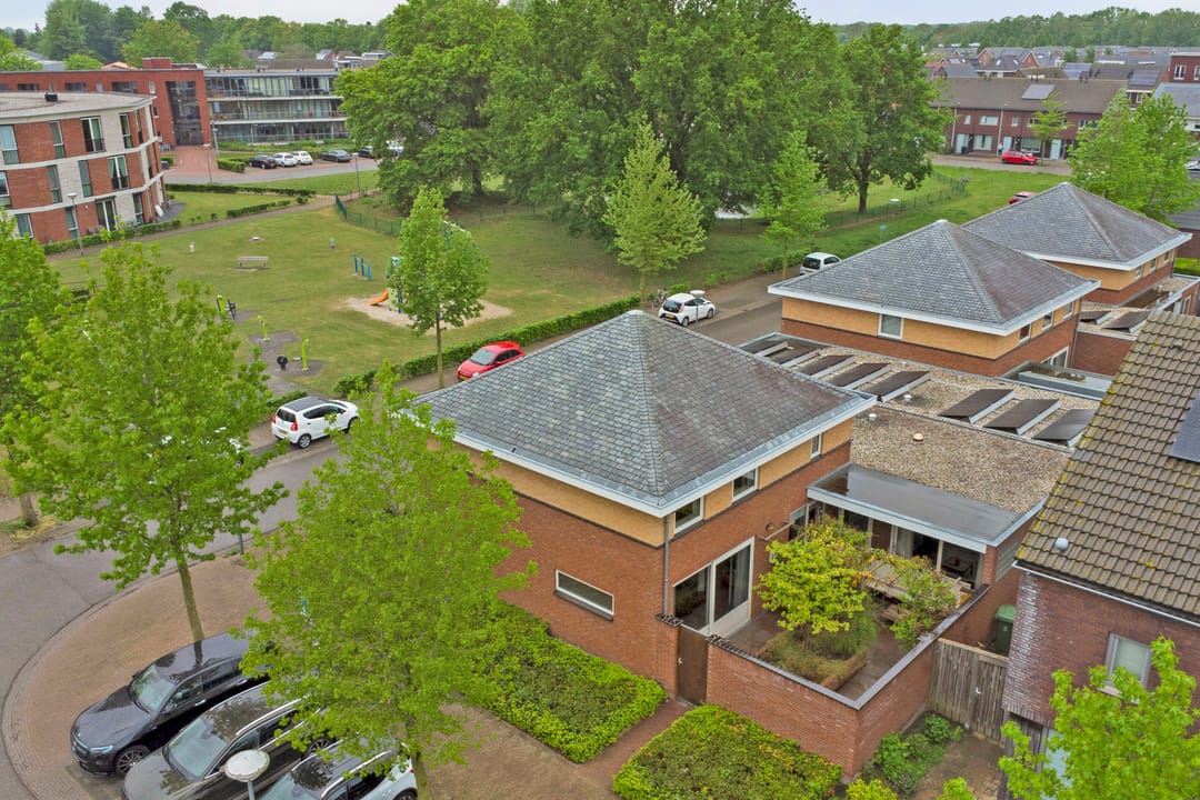 Foto 47 van Roodborstje 1