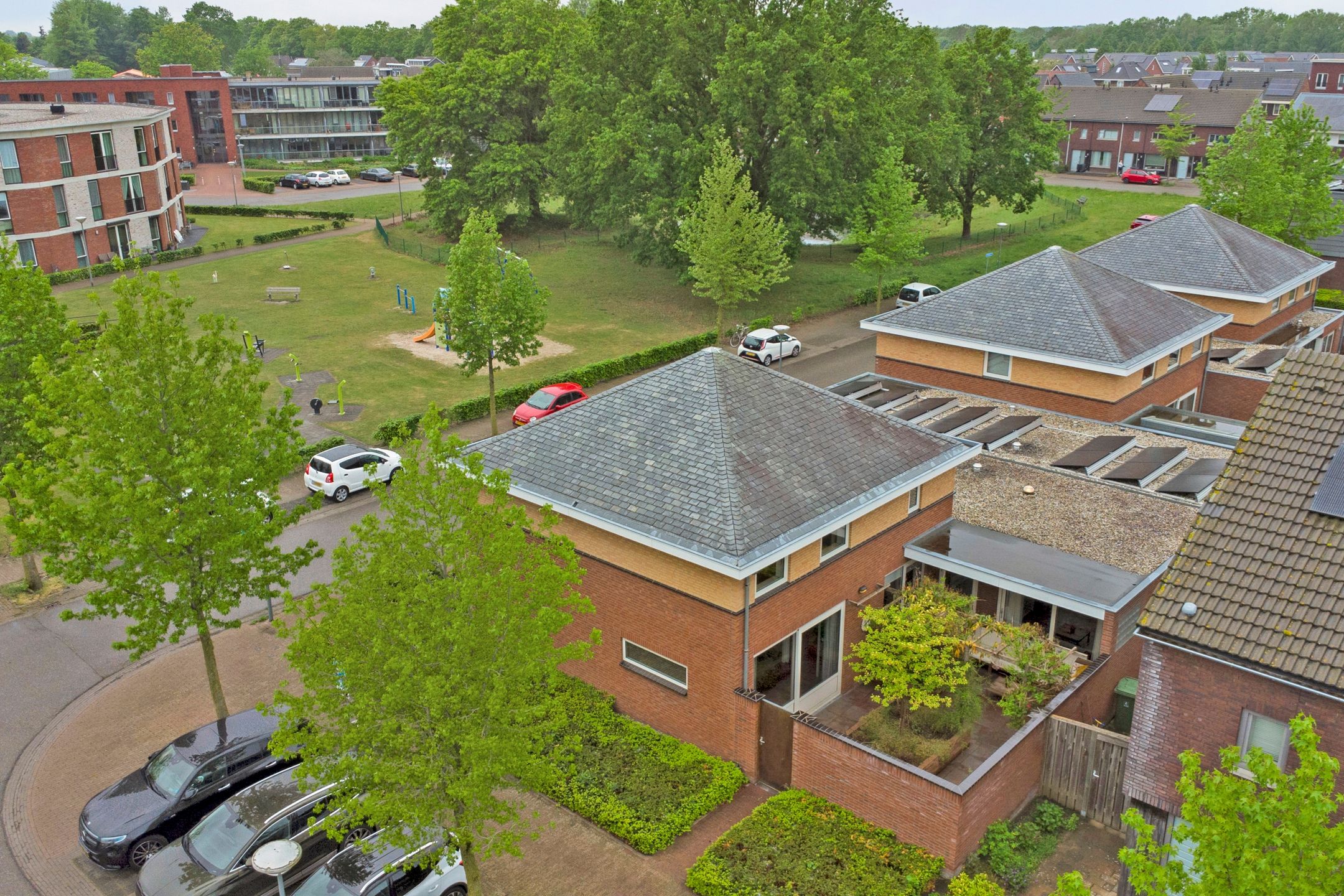 Photo 48 of Roodborstje 1
