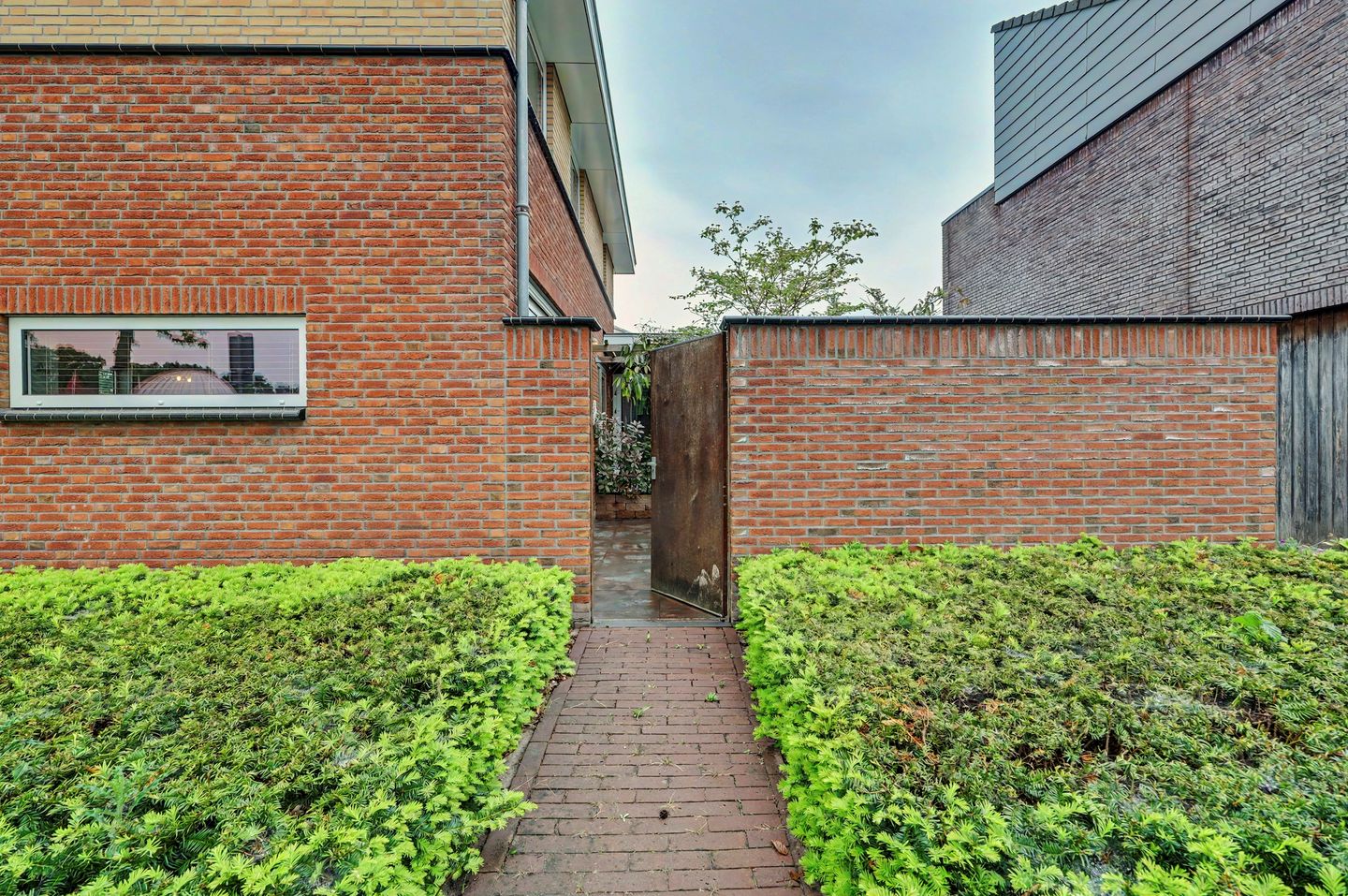 Foto 40 van Roodborstje 1