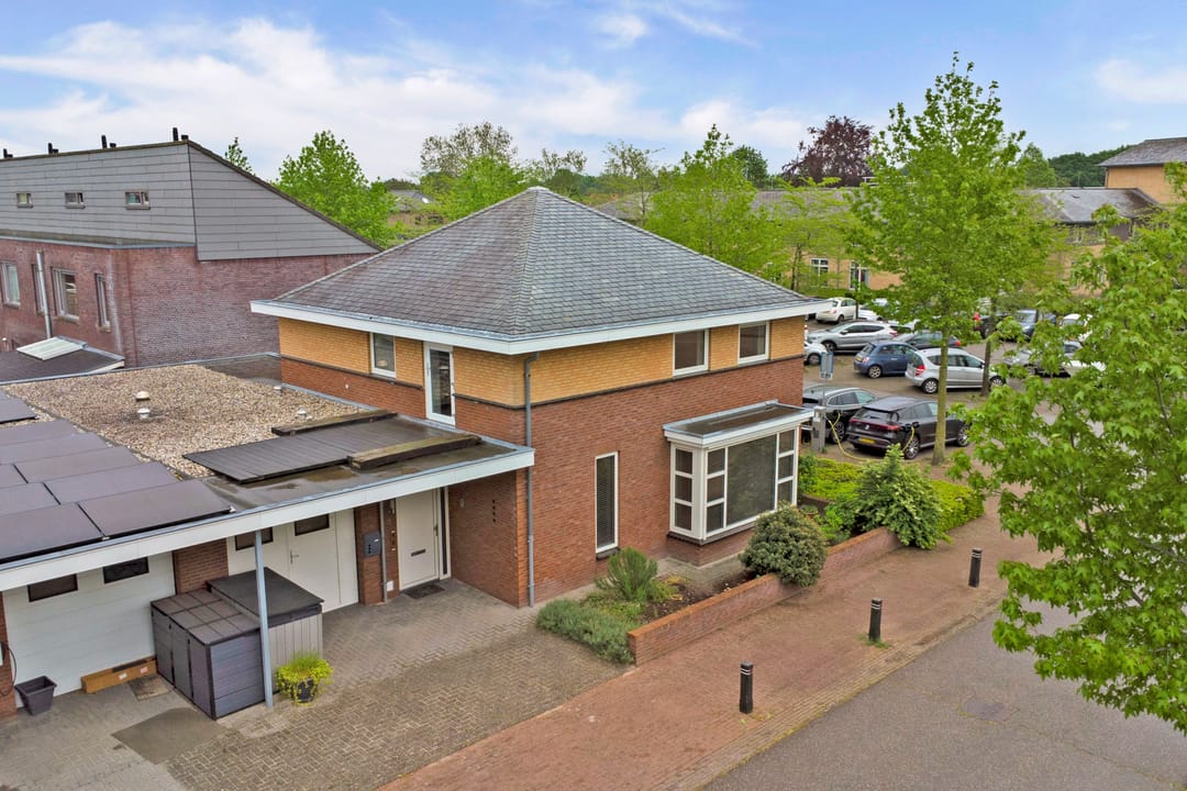 Foto 46 van Roodborstje 1