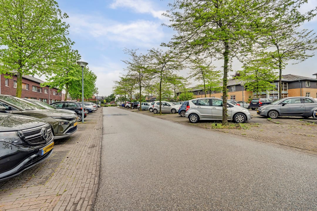 Foto 41 van Roodborstje 1