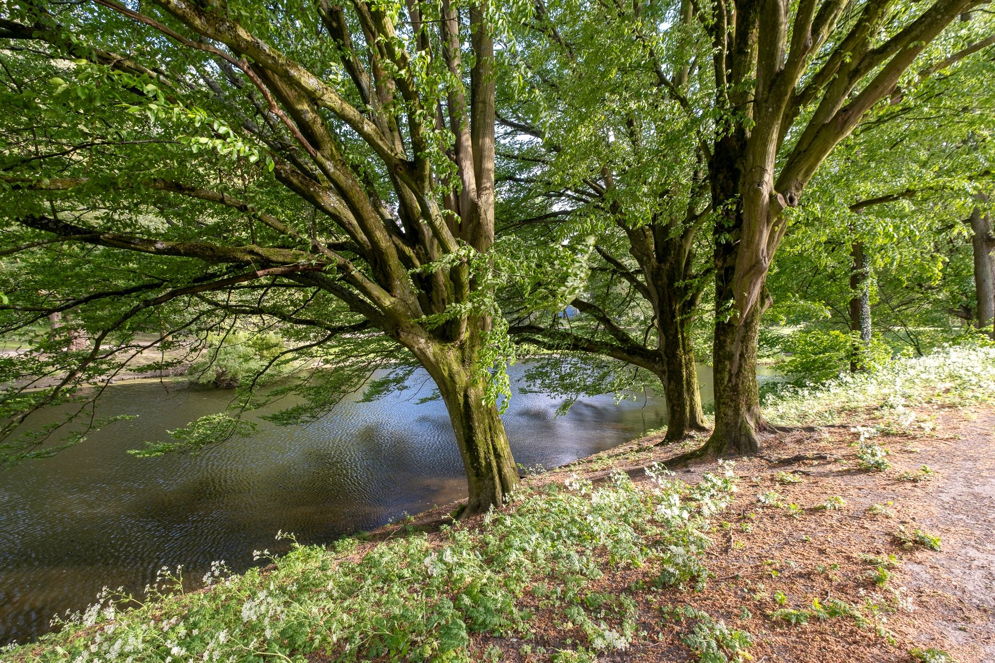 Photo 66 of Noorderbuitensingel 29
