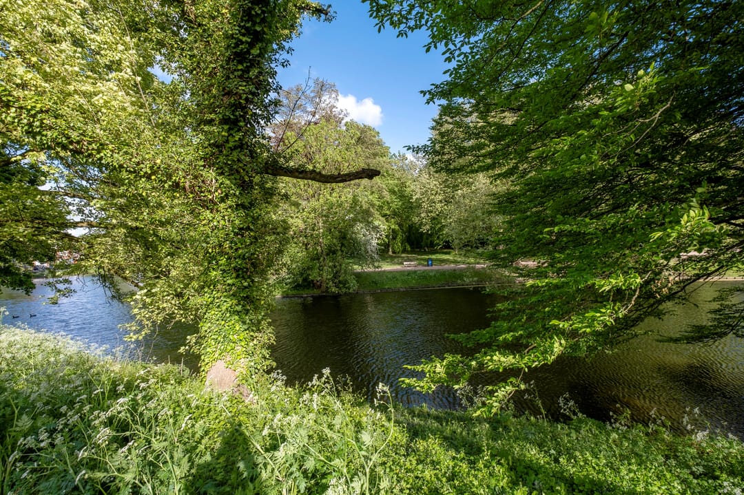 Photo 67 of Noorderbuitensingel 29