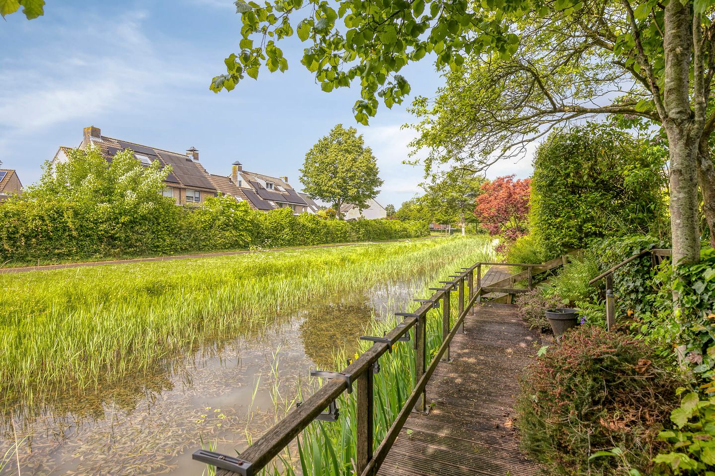 Photo 4 of Parelhoen 8