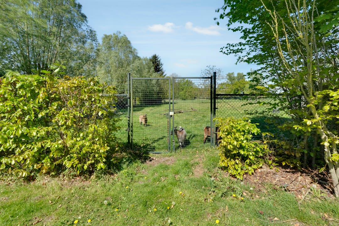 Photo 61 of Molenkamp 20